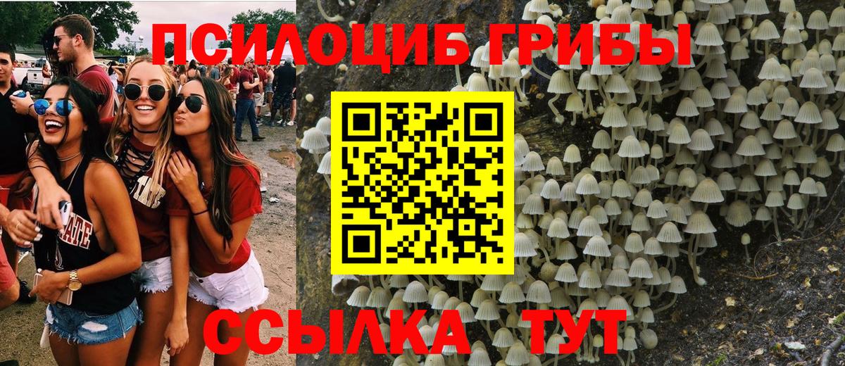 Строитель  Псилоцибиновые грибы мицелий  Вход с VPN 